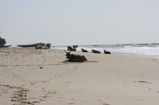 welches wir fasr alleine verbringen,