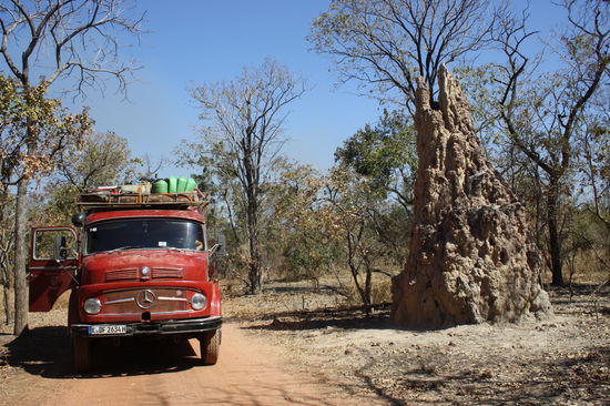 ueberdimensionale Termitenhuegel