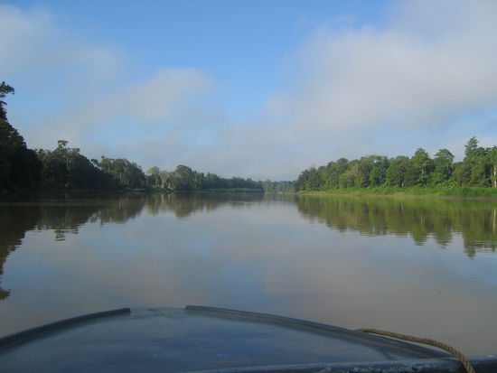 Kinabatangan River