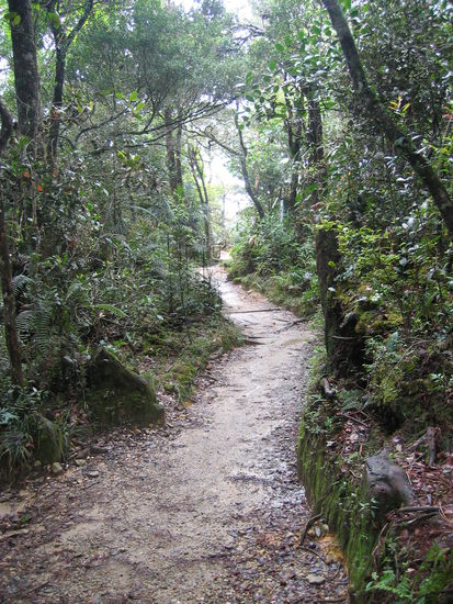 Anfangs durch grünen Dschungel....
