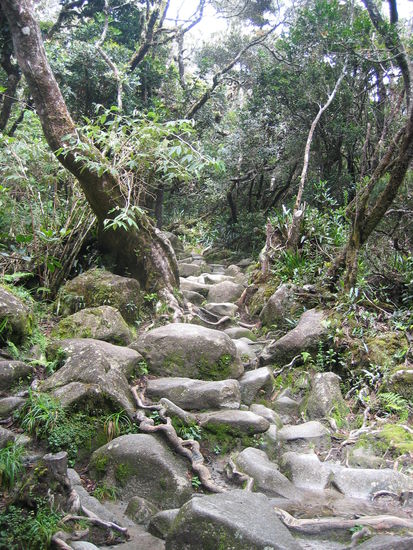 Je höher wir kamen desto Steiniger wurde es...