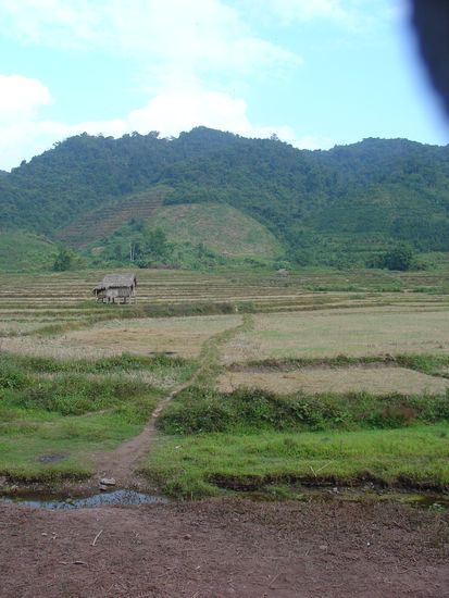 So sah die Landschaft rund um Luang Nam Tha aus.