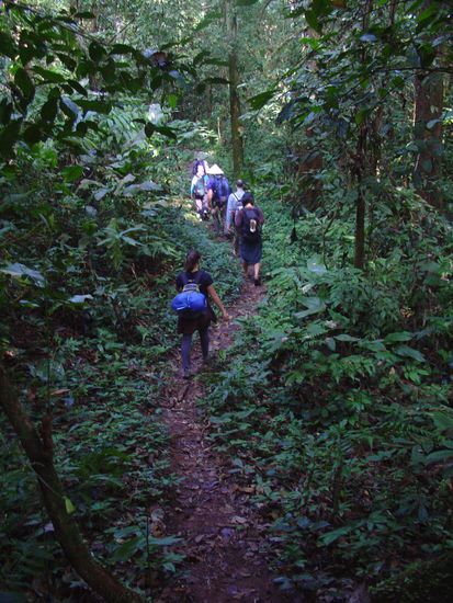 Meistens bewegten wir uns auf gut begehbaren Wegen.
