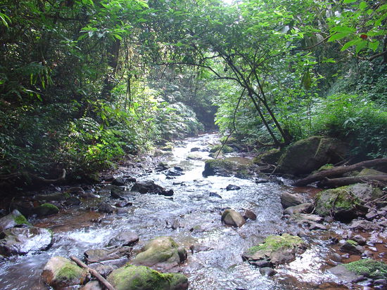 Einer der unzaehligen Baeche die wir ueberquerten.