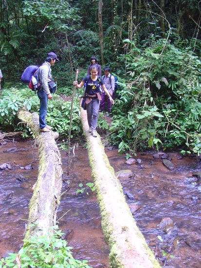 Es hatte hier natuerlich keine Bruecken, aber dafuer immer irgendwo Baumstaemme...