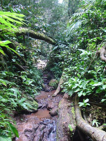 Dies war der Weg durch den Bach, wunderschoen....