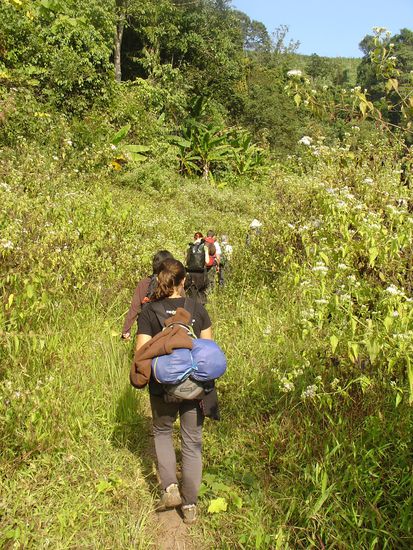 Wieder ausserhalb des Dschungels...