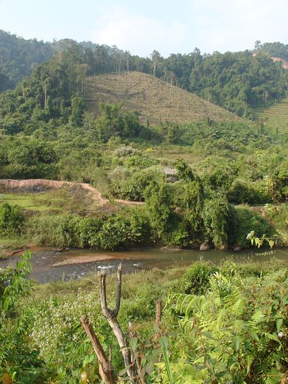 So sah es aus als wir denn Dschungel verliessen... auch eine schoene Landschaft.