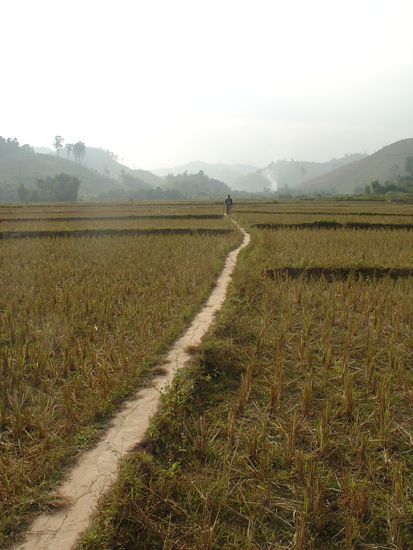 Peter ein wenig zurueckgefallen... das Bild gefaellt mir besonders.