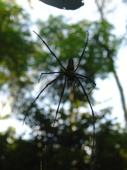 Auf dem Weg zum Wasserfall... etwas fuer meinen Bruder "Beni" 