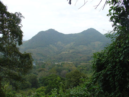 Und die Aussicht oberhalb des Wasserfalls...
