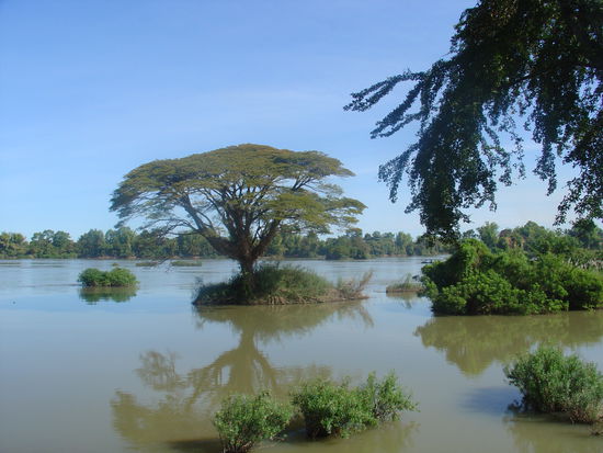 So sah die Gegend aus als wir ankamen.