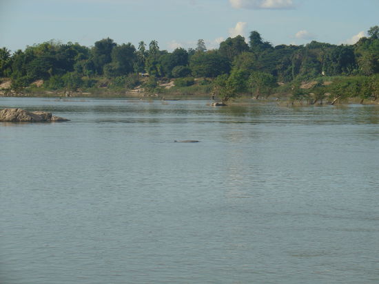 Sehr viel erkennt man schon nicht gerade 