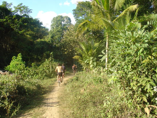 So sahen ungefaehr die Strassen aus...