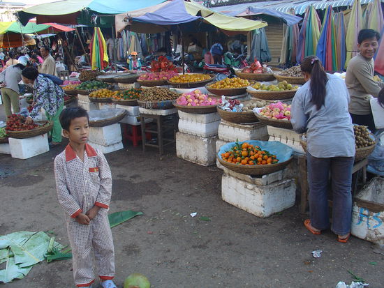 Und auch hier hatte es tolle Fruchtstaende...