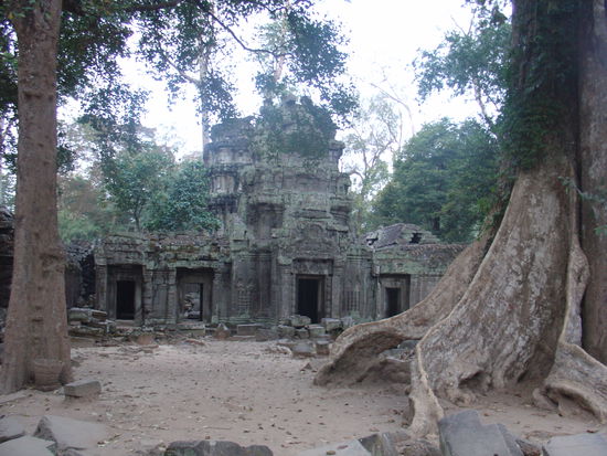 Innerhalb des Ta Prohm...
