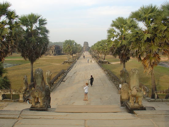 Der Garten der den Tempel umgiebt.