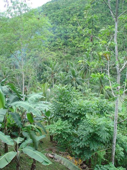 Blick in eine andere Richtung..