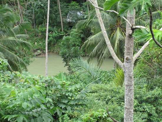 Aussicht vom Restaurant das wunderschoen in den Dschnungel hinaus gebaut ist.