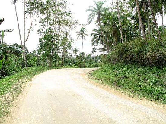 Eine weiterer Abschnitt auf unserem Weg zu den Chocolate Hills...