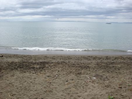 Die Beach... nicht gerade berauschend ! Aber wir waren ja auch nicht hier um an den Strand zu liegen...