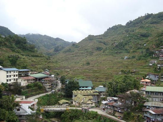 Und schon die ersten Reisterrassen, auch vom meiner Unterkunft aus fotografiert !