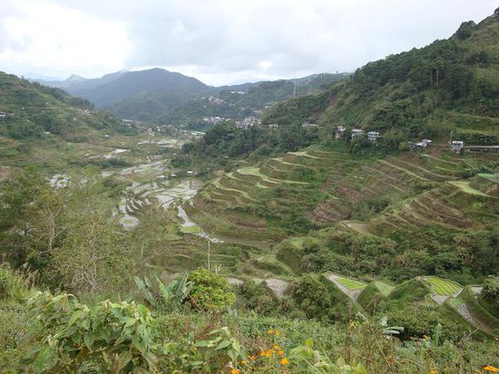 Der zweite "Viewpoint" und die Stadt Banaue im Hintergrund. Das ganze Tal war voller Reisterrassen...