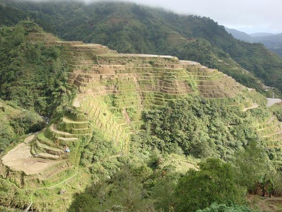 Der wohl eindruecklichste Huegel von Banaue... echt der Hammer, aber wie schon erwaehnt, noch viel imposanter wenn man Vorort ist.