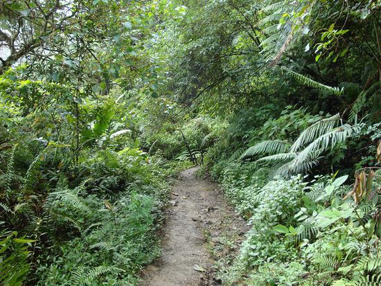 So sah der Weg nach unten aus...