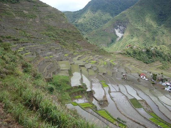 Kurz bevor wir uns in die Reisterassen begaben...