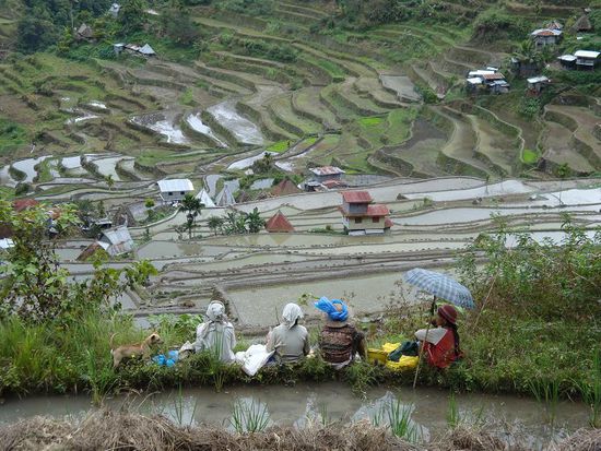 Innerhalb der Reisterrassen, vier Phillippino-Frauen... kurze Pause !