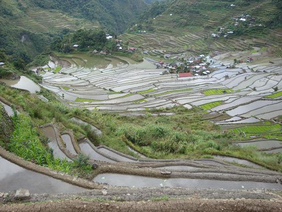 Das Dorf, wirklich fast 360 Grad von Reisterrassen umgeben... schon cool, oder !