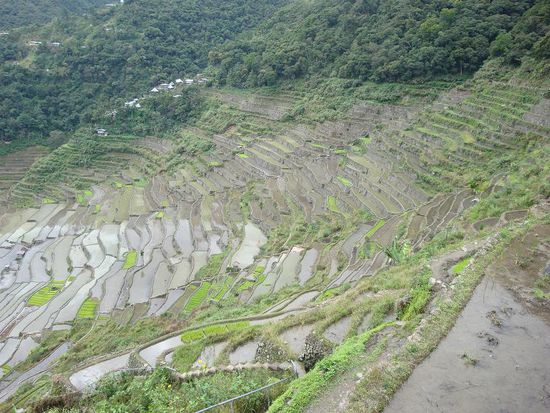 Und nochmals ein Blick zurueck, diese Terrassen hatten wir ueberquert.