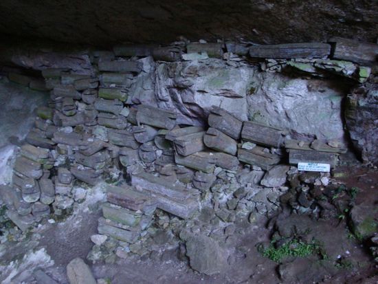 Alles voller Saerge... ein etwas anderer Anblick !