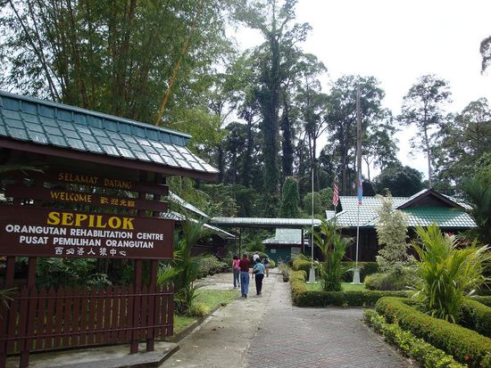 Eingangsbereich "Sepilok".