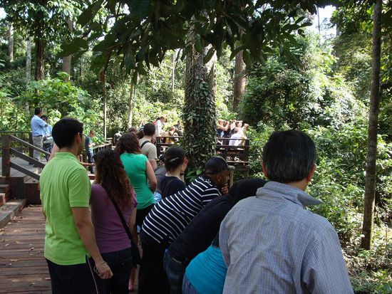 Und nach langer Zeit wieder mal viele Touristen auf einem Haufen !