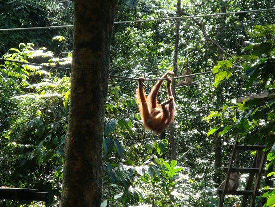Und kurz darauf verzog er sich wieder...