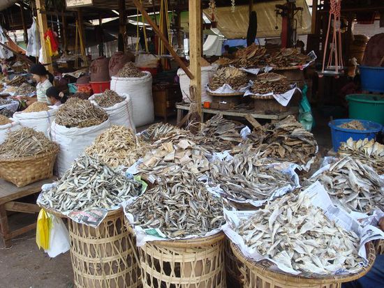 Ein Stand voller gedoerter Fische... nicht gerade etwas wonach ich mich sehne ! 