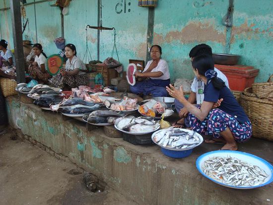 Und anschliessend auf dem Food-Market... frische Fische, aber alles war total voller Fliegen !