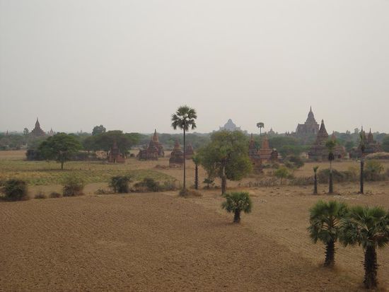 Aussicht in eine Richtung von einem der kleineren Tempel...