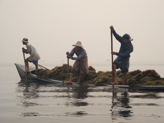 Und so sah das aus beim herausfischen... auch hier wieder beeindruckend wie sicher alle auf dem Boot standen.