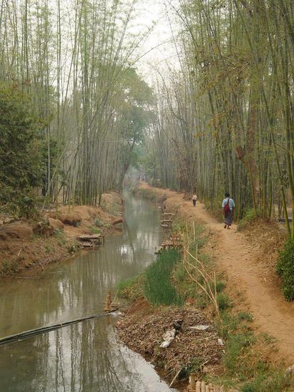 Auf dem Weg zum Dorf... schoener Fluss umgeben von Bambus-Wald, das sah wirklich toll aus !
