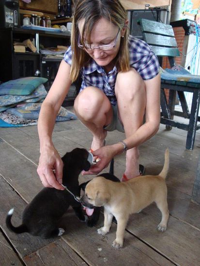 Meine Mutter am fuettern der Hundebabys... so war sie voll in ihrem Element !  (sie bereute sogar das sie ihr Yoghurt selbst gegessen hatte, bevor die Hunde auftauchten !)