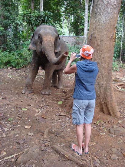 Alles wurde vom Elefanten zuerst mit dem Ruessel abgecheck..