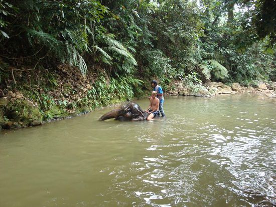 Ich beim Bad mit dem Elefanten... sicherlich toll, wenn es ein wenig persoenlicher abgelaufen waere !