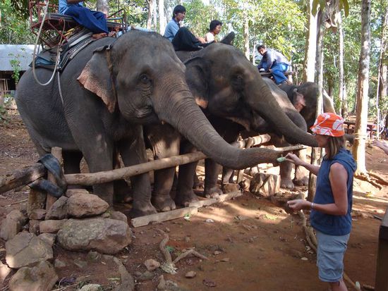 Meine Mutter bei der Fuetterung...