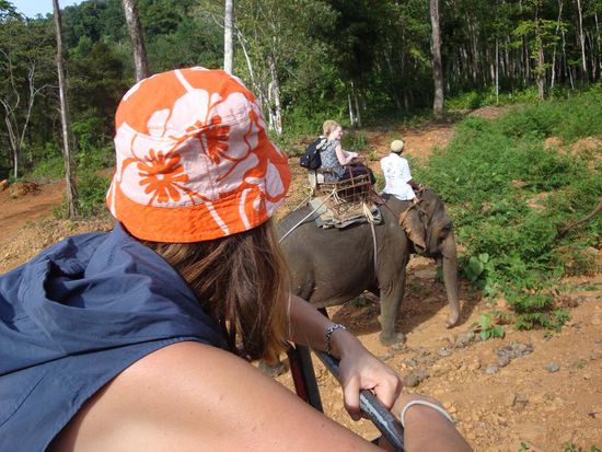 Waehrend des Elefantenreitens...
