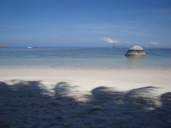 Sicht vom Strand der "Shark Bay" ueber diese Korallen musste man zuerst um die Haie zu sehen !