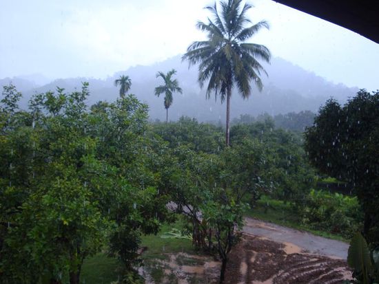 So sah es am Morgen aus... ich war nicht gerade begeistert bei diesem Wetter 2 Tage im Dschungel zu verbringen.