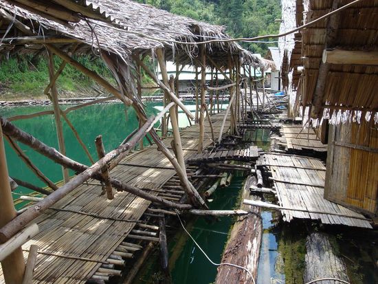 So sah es vom Eingang unseres Bungalows her aus... alles auf schwimmenden Baumstaemmen gebaut !